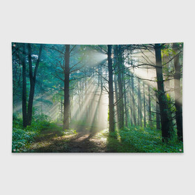 Флаг-баннер с принтом Утренний лес , 100% полиэстер | размер 67 х 109 см, плотность ткани — 95 г/м2; по краям флага есть четыре люверса для крепления | дерево | солнце