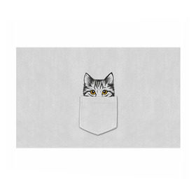 Бумага для упаковки 3D с принтом Кот в кармане 2 , пластик и полированная сталь | круглая форма, металлическое крепление в виде кольца | animals | cat | kitty | животные | кот | котик