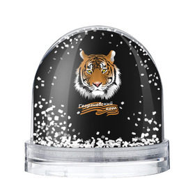 Снежный шар с принтом Георгиевский кот , Пластик | Изображение внутри шара печатается на глянцевой фотобумаге с двух сторон | георгиевская лента | георгиевский кот | тигр