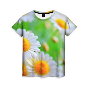 Женская футболка 3D с принтом Ромашки , 100% полиэфир ( синтетическое хлопкоподобное полотно) | прямой крой, круглый вырез горловины, длина до линии бедер | фото | цветы