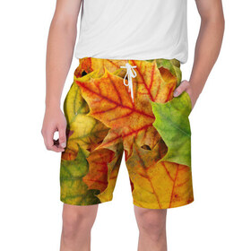Мужские шорты 3D с принтом Краски осени ,  полиэстер 100% | прямой крой, два кармана без застежек по бокам. Мягкая трикотажная резинка на поясе, внутри которой широкие завязки. Длина чуть выше колен | листва | листья | осень