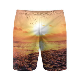 Мужские шорты 3D спортивные с принтом Закат ,  |  | sunset | жара | закат | зной | косяк | лето | море | облака | океан | отдых | пена | песок | пляж | прибой | прилив | рассвет | солнце | стая птиц