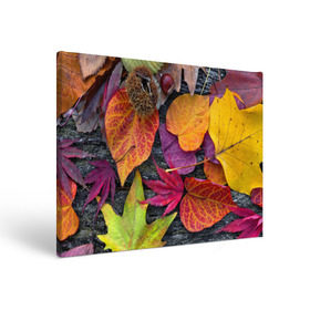 Холст прямоугольный с принтом Дары осени , 100% ПВХ |  | жёлтый | золотой | красный | листва | листья | наряд | осень