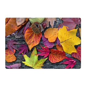 Магнитный плакат 3Х2 с принтом Дары осени , Полимерный материал с магнитным слоем | 6 деталей размером 9*9 см | жёлтый | золотой | красный | листва | листья | наряд | осень