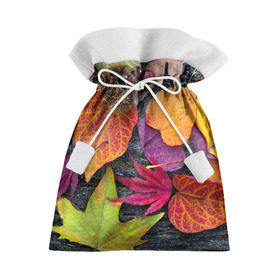 Подарочный 3D мешок с принтом Дары осени , 100% полиэстер | Размер: 29*39 см | Тематика изображения на принте: жёлтый | золотой | красный | листва | листья | наряд | осень