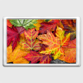 Магнит 45*70 с принтом Осенняя пора , Пластик | Размер: 78*52 мм; Размер печати: 70*45 | жёлтый | красный | листва | листья | осень