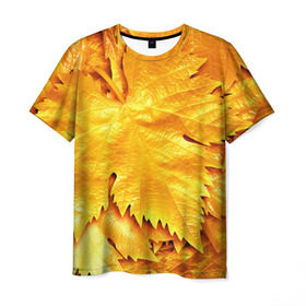 Мужская футболка 3D с принтом Золотая осень , 100% полиэфир | прямой крой, круглый вырез горловины, длина до линии бедер | Тематика изображения на принте: жёлтый | золотой | клён | красота | листва | листья | наряд | осень | осина | покров | природа