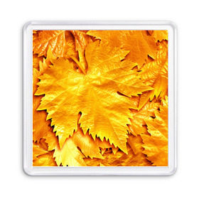Магнит 55*55 с принтом Золотая осень , Пластик | Размер: 65*65 мм; Размер печати: 55*55 мм | жёлтый | золотой | клён | красота | листва | листья | наряд | осень | осина | покров | природа