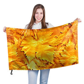 Флаг 3D с принтом Золотая осень , 100% полиэстер | плотность ткани — 95 г/м2, размер — 67 х 109 см. Принт наносится с одной стороны | жёлтый | золотой | клён | красота | листва | листья | наряд | осень | осина | покров | природа