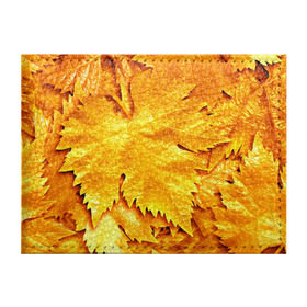 Обложка для студенческого билета с принтом Золотая осень , натуральная кожа | Размер: 11*8 см; Печать на всей внешней стороне | жёлтый | золотой | клён | красота | листва | листья | наряд | осень | осина | покров | природа