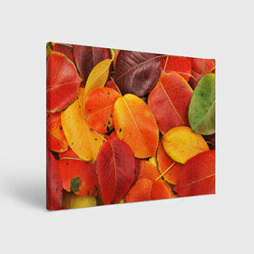 Холст прямоугольный с принтом Осенний покров , 100% ПВХ |  | жёлтый | золотой | красный | листва | листья | осень