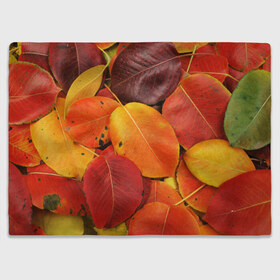 Плед 3D с принтом Осенний покров , 100% полиэстер | закругленные углы, все края обработаны. Ткань не мнется и не растягивается | жёлтый | золотой | красный | листва | листья | осень