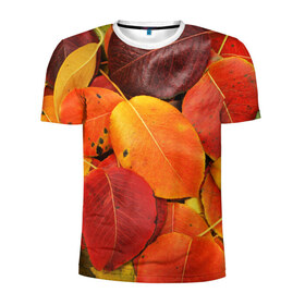 Мужская футболка 3D спортивная с принтом Осенний покров , 100% полиэстер с улучшенными характеристиками | приталенный силуэт, круглая горловина, широкие плечи, сужается к линии бедра | жёлтый | золотой | красный | листва | листья | осень