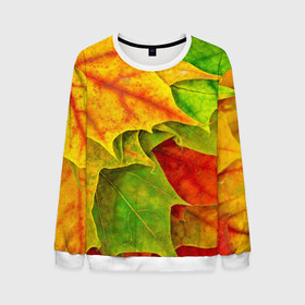 Мужской свитшот 3D с принтом Осенний наряд , 100% полиэстер с мягким внутренним слоем | круглый вырез горловины, мягкая резинка на манжетах и поясе, свободная посадка по фигуре | жёлтый | зелёный | красный | листва | листья | оранжевый