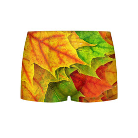 Мужские трусы 3D с принтом Осенний наряд , 50% хлопок, 50% полиэстер | классическая посадка, на поясе мягкая тканевая резинка | жёлтый | зелёный | красный | листва | листья | оранжевый