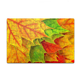 Пазл магнитный 126 элементов с принтом Осенний наряд , полимерный материал с магнитным слоем | 126 деталей, размер изделия —  180*270 мм | жёлтый | зелёный | красный | листва | листья | оранжевый