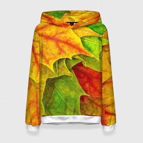 Женская толстовка 3D с принтом Осенний наряд , 100% полиэстер  | двухслойный капюшон со шнурком для регулировки, мягкие манжеты на рукавах и по низу толстовки, спереди карман-кенгуру с мягким внутренним слоем. | жёлтый | зелёный | красный | листва | листья | оранжевый