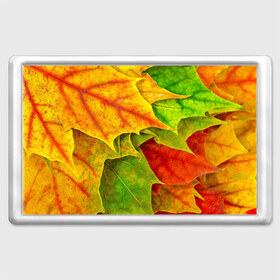 Магнит 45*70 с принтом Осенний наряд , Пластик | Размер: 78*52 мм; Размер печати: 70*45 | жёлтый | зелёный | красный | листва | листья | оранжевый