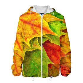 Мужская куртка 3D с принтом Осенний наряд , ткань верха — 100% полиэстер, подклад — флис | прямой крой, подол и капюшон оформлены резинкой с фиксаторами, два кармана без застежек по бокам, один большой потайной карман на груди. Карман на груди застегивается на липучку | жёлтый | зелёный | красный | листва | листья | оранжевый