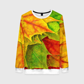 Женский свитшот 3D с принтом Осенний наряд , 100% полиэстер с мягким внутренним слоем | круглый вырез горловины, мягкая резинка на манжетах и поясе, свободная посадка по фигуре | жёлтый | зелёный | красный | листва | листья | оранжевый