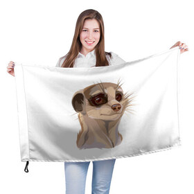 Флаг 3D с принтом Meerkats , 100% полиэстер | плотность ткани — 95 г/м2, размер — 67 х 109 см. Принт наносится с одной стороны | meerkats | животные | милый | сурикат | сурикаты