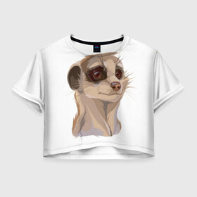 Женская футболка 3D укороченная с принтом Meerkats , 100% полиэстер | круглая горловина, длина футболки до линии талии, рукава с отворотами | meerkats | животные | милый | сурикат | сурикаты
