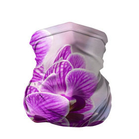Бандана-труба 3D с принтом Божественная орхидея , 100% полиэстер, ткань с особыми свойствами — Activecool | плотность 150‒180 г/м2; хорошо тянется, но сохраняет форму | 8 марта | букет | весна | красота | куст | лето | орхидея | подарок | сиреневый цвет | цветок | шикарный цветочек