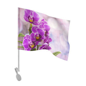 Флаг для автомобиля с принтом Божественная орхидея , 100% полиэстер | Размер: 30*21 см | 8 марта | букет | весна | красота | куст | лето | орхидея | подарок | сиреневый цвет | цветок | шикарный цветочек
