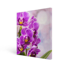 Холст квадратный с принтом Божественная орхидея , 100% ПВХ |  | 8 марта | букет | весна | красота | куст | лето | орхидея | подарок | сиреневый цвет | цветок | шикарный цветочек