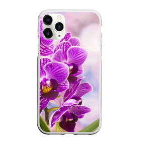 Чехол для iPhone 11 Pro матовый с принтом Божественная орхидея , Силикон |  | 8 марта | букет | весна | красота | куст | лето | орхидея | подарок | сиреневый цвет | цветок | шикарный цветочек