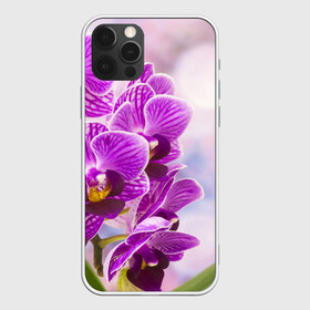 Чехол для iPhone 12 Pro Max с принтом Божественная орхидея , Силикон |  | Тематика изображения на принте: 8 марта | букет | весна | красота | куст | лето | орхидея | подарок | сиреневый цвет | цветок | шикарный цветочек