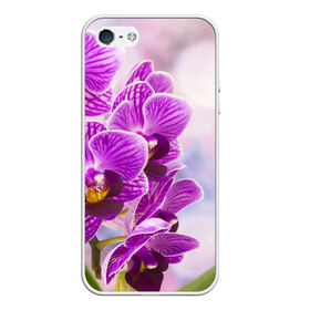 Чехол для iPhone 5/5S матовый с принтом Божественная орхидея , Силикон | Область печати: задняя сторона чехла, без боковых панелей | 8 марта | букет | весна | красота | куст | лето | орхидея | подарок | сиреневый цвет | цветок | шикарный цветочек
