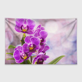 Флаг-баннер с принтом Божественная орхидея , 100% полиэстер | размер 67 х 109 см, плотность ткани — 95 г/м2; по краям флага есть четыре люверса для крепления | 8 марта | букет | весна | красота | куст | лето | орхидея | подарок | сиреневый цвет | цветок | шикарный цветочек