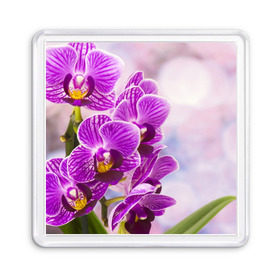 Магнит 55*55 с принтом Божественная орхидея , Пластик | Размер: 65*65 мм; Размер печати: 55*55 мм | 8 марта | букет | весна | красота | куст | лето | орхидея | подарок | сиреневый цвет | цветок | шикарный цветочек