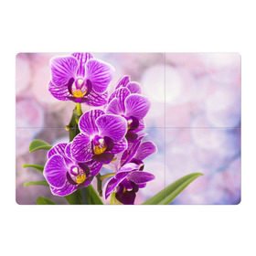 Магнитный плакат 3Х2 с принтом Божественная орхидея , Полимерный материал с магнитным слоем | 6 деталей размером 9*9 см | Тематика изображения на принте: 8 марта | букет | весна | красота | куст | лето | орхидея | подарок | сиреневый цвет | цветок | шикарный цветочек