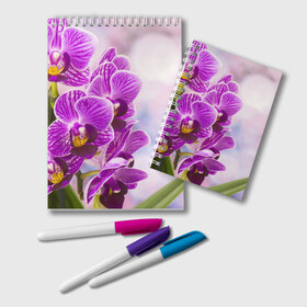 Блокнот с принтом Божественная орхидея , 100% бумага | 48 листов, плотность листов — 60 г/м2, плотность картонной обложки — 250 г/м2. Листы скреплены удобной пружинной спиралью. Цвет линий — светло-серый
 | 8 марта | букет | весна | красота | куст | лето | орхидея | подарок | сиреневый цвет | цветок | шикарный цветочек