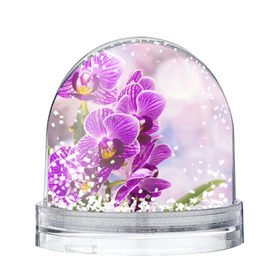 Снежный шар с принтом Божественная орхидея , Пластик | Изображение внутри шара печатается на глянцевой фотобумаге с двух сторон | 8 марта | букет | весна | красота | куст | лето | орхидея | подарок | сиреневый цвет | цветок | шикарный цветочек