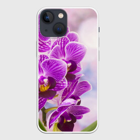 Чехол для iPhone 13 mini с принтом Божественная орхидея ,  |  | 8 марта | букет | весна | красота | куст | лето | орхидея | подарок | сиреневый цвет | цветок | шикарный цветочек