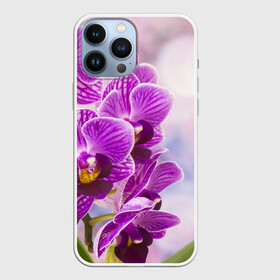 Чехол для iPhone 13 Pro Max с принтом Божественная орхидея ,  |  | 8 марта | букет | весна | красота | куст | лето | орхидея | подарок | сиреневый цвет | цветок | шикарный цветочек