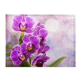 Обложка для студенческого билета с принтом Божественная орхидея , натуральная кожа | Размер: 11*8 см; Печать на всей внешней стороне | 8 марта | букет | весна | красота | куст | лето | орхидея | подарок | сиреневый цвет | цветок | шикарный цветочек