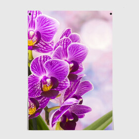 Постер с принтом Божественная орхидея , 100% бумага
 | бумага, плотность 150 мг. Матовая, но за счет высокого коэффициента гладкости имеет небольшой блеск и дает на свету блики, но в отличии от глянцевой бумаги не покрыта лаком | 8 марта | букет | весна | красота | куст | лето | орхидея | подарок | сиреневый цвет | цветок | шикарный цветочек