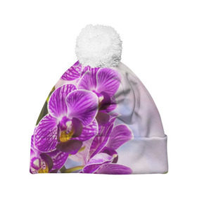 Шапка 3D c помпоном с принтом Божественная орхидея , 100% полиэстер | универсальный размер, печать по всей поверхности изделия | 8 марта | букет | весна | красота | куст | лето | орхидея | подарок | сиреневый цвет | цветок | шикарный цветочек