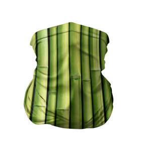 Бандана-труба 3D с принтом Бамбук , 100% полиэстер, ткань с особыми свойствами — Activecool | плотность 150‒180 г/м2; хорошо тянется, но сохраняет форму | бамбук | дерево | джунгли | кустарник | надёжность | прочность | стена