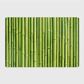 Магнитный плакат 3Х2 с принтом Бамбук , Полимерный материал с магнитным слоем | 6 деталей размером 9*9 см | Тематика изображения на принте: бамбук | дерево | джунгли | кустарник | надёжность | прочность | стена