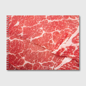 Альбом для рисования с принтом Кусок мяса , 100% бумага
 | матовая бумага, плотность 200 мг. | баранина | бекон | белок | говядина | еда | жилы | кровь | кусок | мощь | мышцы | мясо | нарезка | отбивная | пища | протеин | свинина | сила | телятина | туша | филе | хрящи