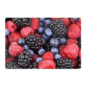 Магнитный плакат 3Х2 с принтом Ягодки , Полимерный материал с магнитным слоем | 6 деталей размером 9*9 см | вкусно | голубика | дача | деревня | ежевика | клубника | малина | огород | полезно | сад | смородина | сок | фрукты | черника | ягоды