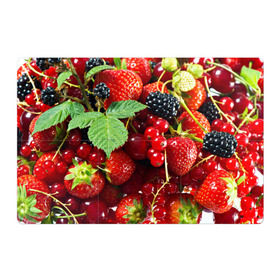 Магнитный плакат 3Х2 с принтом Любимые ягоды , Полимерный материал с магнитным слоем | 6 деталей размером 9*9 см | вкусно | голубика | дача | деревня | ежевика | зелень | клубника | малина | огород | полезно | сад | смородина | сок | фрукты | черника | шиповник | ягоды