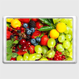 Магнит 45*70 с принтом Вкусные ягоды , Пластик | Размер: 78*52 мм; Размер печати: 70*45 | Тематика изображения на принте: виноград | вкусно | голубика | дача | деревня | ежевика | клубника | малина | огород | полезно | рябина | сад | смородина | сок | фрукты | черника | ягоды