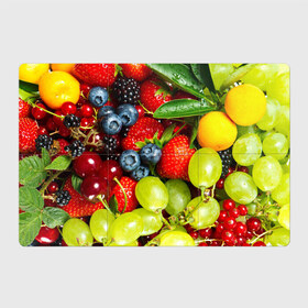 Магнитный плакат 3Х2 с принтом Вкусные ягоды , Полимерный материал с магнитным слоем | 6 деталей размером 9*9 см | Тематика изображения на принте: виноград | вкусно | голубика | дача | деревня | ежевика | клубника | малина | огород | полезно | рябина | сад | смородина | сок | фрукты | черника | ягоды