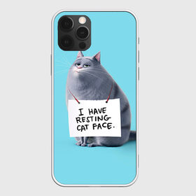 Чехол для iPhone 12 Pro Max с принтом Домашняя киса , Силикон |  | animal | cat | pets | the secret life of pets | домашние животные | животные | кот | котенок | котик | тайная жизнь домашних животных